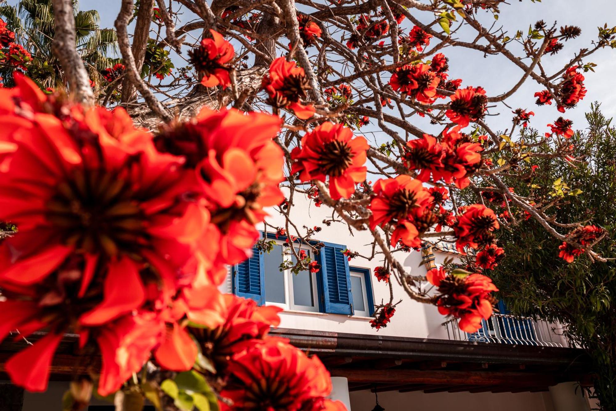 Hotel Residence La Villetta Canneto  Zewnętrze zdjęcie